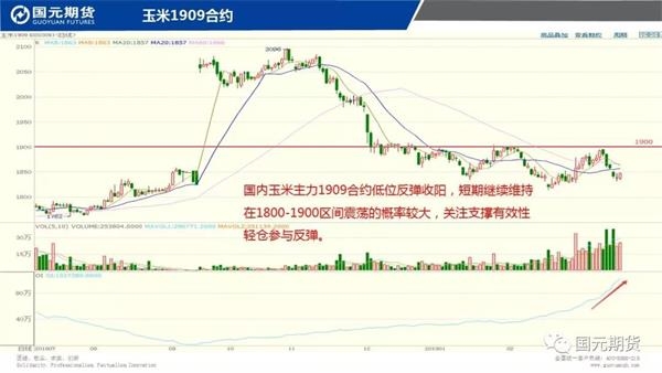 沪镍期货最新动态，市场走势分析与展望