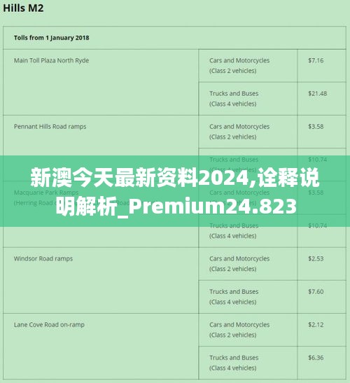 新澳2024正版免费资料,实践经验解释定义_Kindle14.859