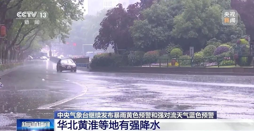 暴雨最新版深度解析及应对之策探讨