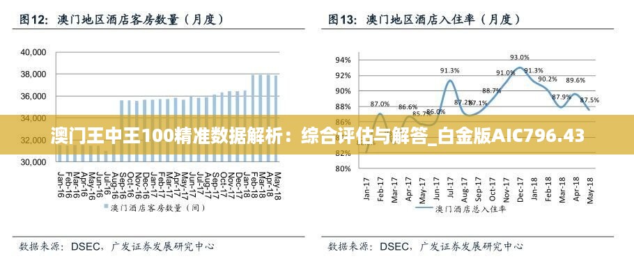 澳门王中王100%正确答案最新章节,实地评估说明_Kindle76.263