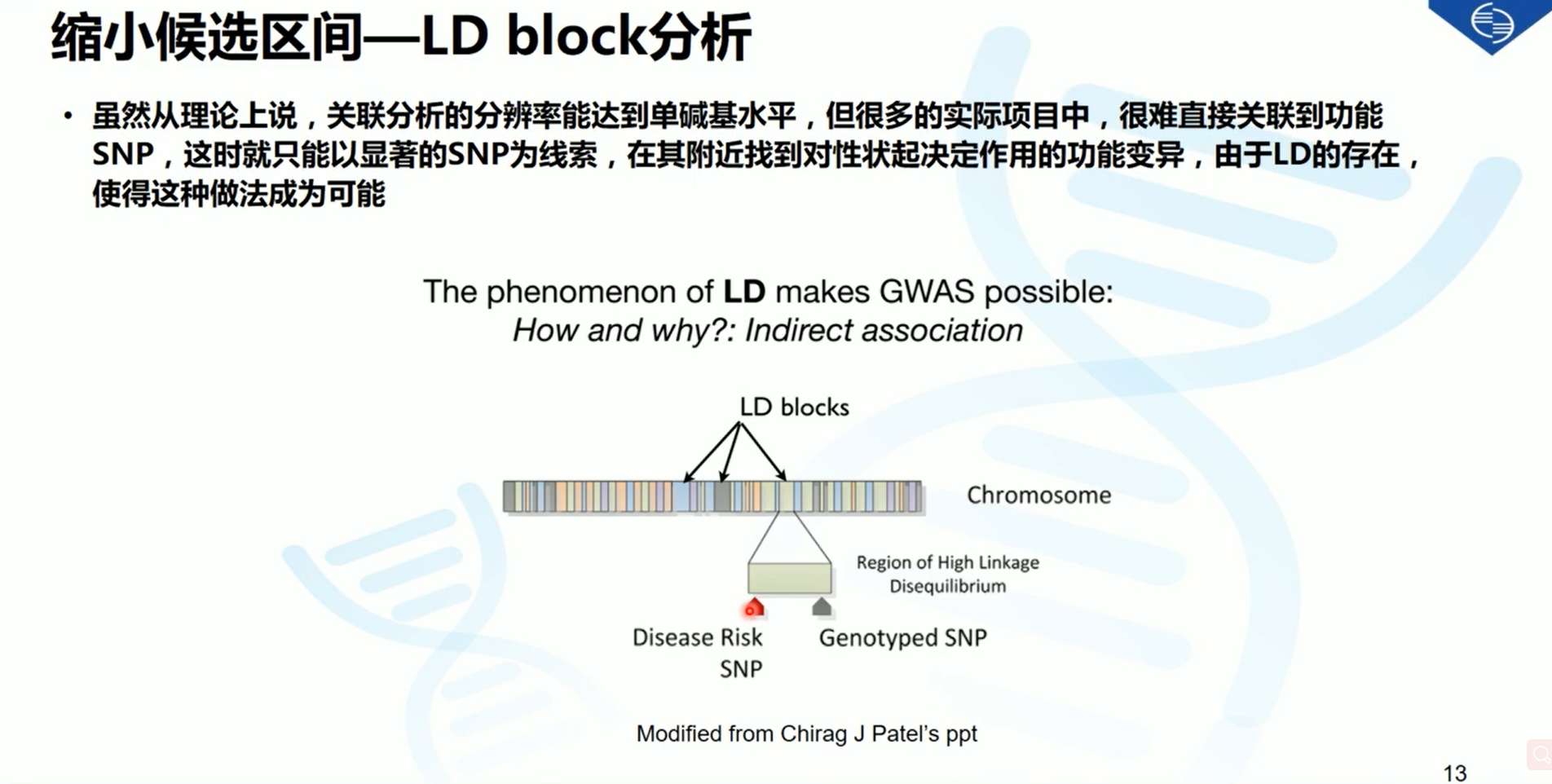 澳门正版资料免费大全新闻,理论分析解析说明_精英款32.112